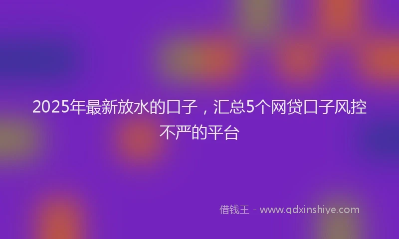 2025年最新放水的口子，汇总5个网贷口子风控不严的平台