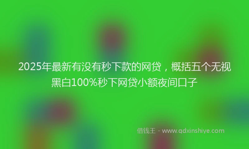2025年最新有没有秒下款的网贷，概括五个无视黑白100%秒下网贷小额夜间口子