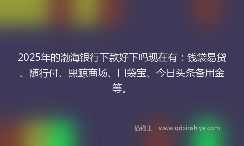 2025年的渤海银行下款好下吗现在有：钱袋易贷、随行付、黑鲸商场、口袋宝、今日头条备用金等。
