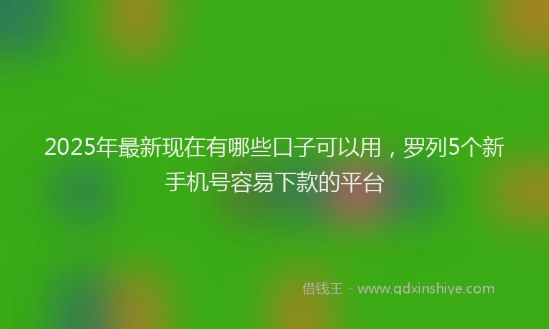 2025年最新现在有哪些口子可以用，罗列5个新手机号容易下款的平台