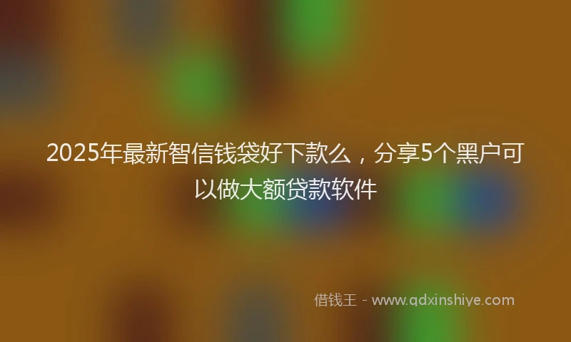 2025年最新智信钱袋好下款么，分享5个黑户可以做大额贷款软件