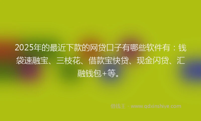 2025年的最近下款的网贷口子有哪些软件有：钱袋速融宝、三枝花、借款宝快贷、现金闪贷、汇融钱包+等。