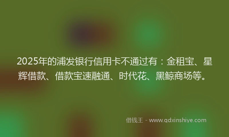 2025年的浦发银行信用卡不通过有：金租宝、星辉借款、借款宝速融通、时代花、黑鲸商场等。
