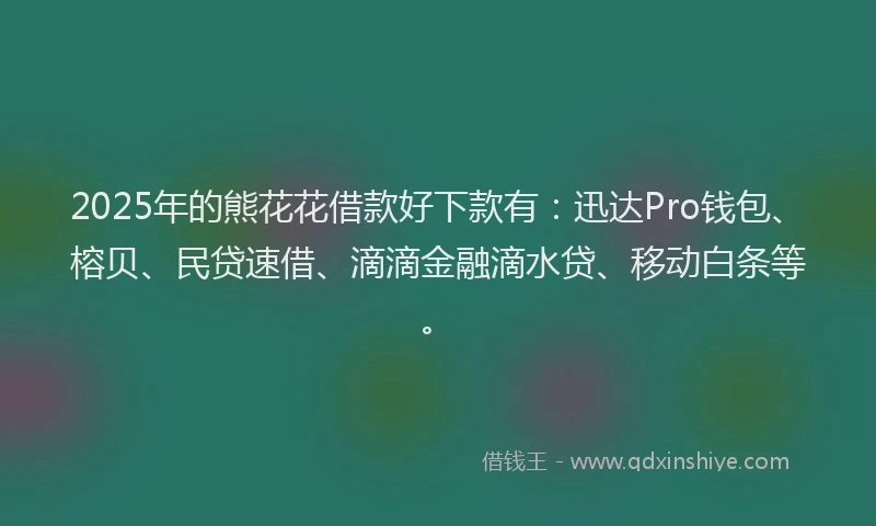 2025年的熊花花借款好下款有：迅达Pro钱包、榕贝、民贷速借、滴滴金融滴水贷、移动白条等。