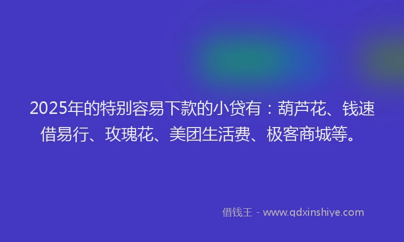 2025年的特别容易下款的小贷有：葫芦花、钱速借易行、玫瑰花、美团生活费、极客商城等。