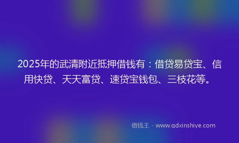 2025年的武清附近抵押借钱有：借贷易贷宝、信用快贷、天天富贷、速贷宝钱包、三枝花等。