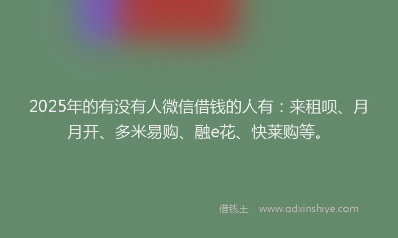 2025年的有没有人微信借钱的人有：来租呗、月月开、多米易购、融e花、快莱购等。