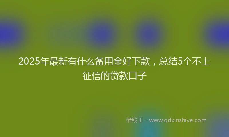 2025年最新有什么备用金好下款，总结5个不上征信的贷款口子