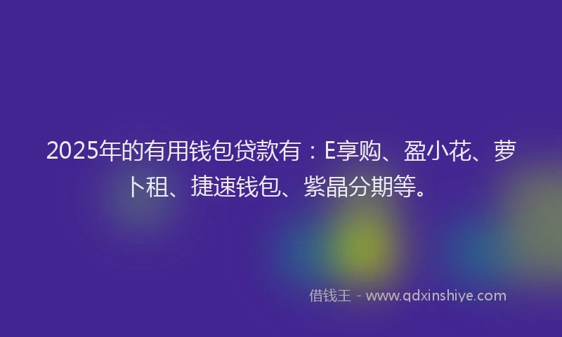 2025年的有用钱包贷款有：E享购、盈小花、萝卜租、捷速钱包、紫晶分期等。
