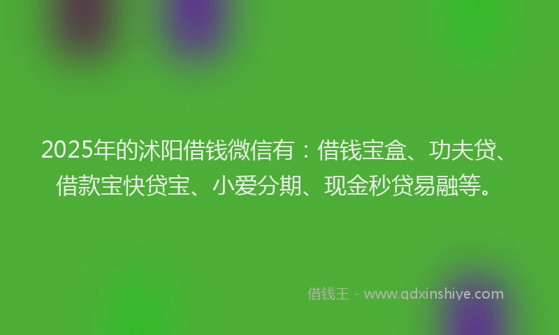 2025年的沭阳借钱微信有：借钱宝盒、功夫贷、借款宝快贷宝、小爱分期、现金秒贷易融等。