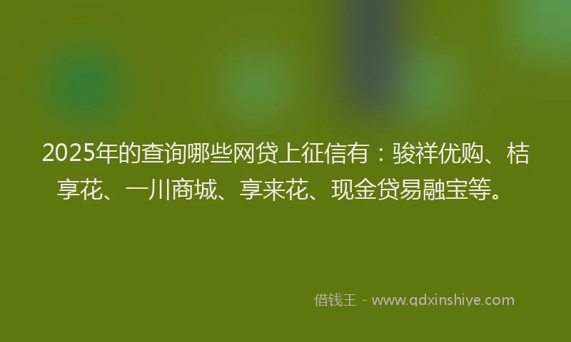2025年的查询哪些网贷上征信有：骏祥优购、桔享花、一川商城、享来花、现金贷易融宝等。