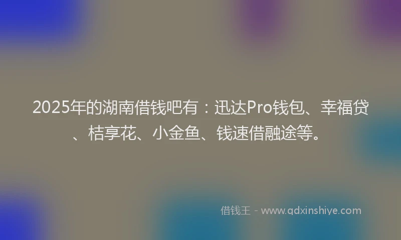 2025年的湖南借钱吧有：迅达Pro钱包、幸福贷、桔享花、小金鱼、钱速借融途等。