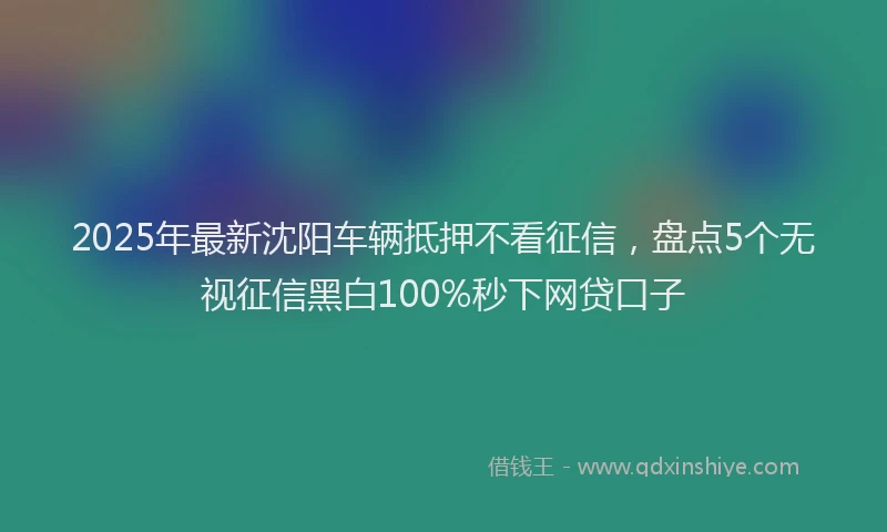 2025年最新沈阳车辆抵押不看征信，盘点5个无视征信黑白100%秒下网贷口子