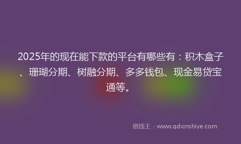 2025年的现在能下款的平台有哪些有：积木盒子、珊瑚分期、树融分期、多多钱包、现金易贷宝通等。