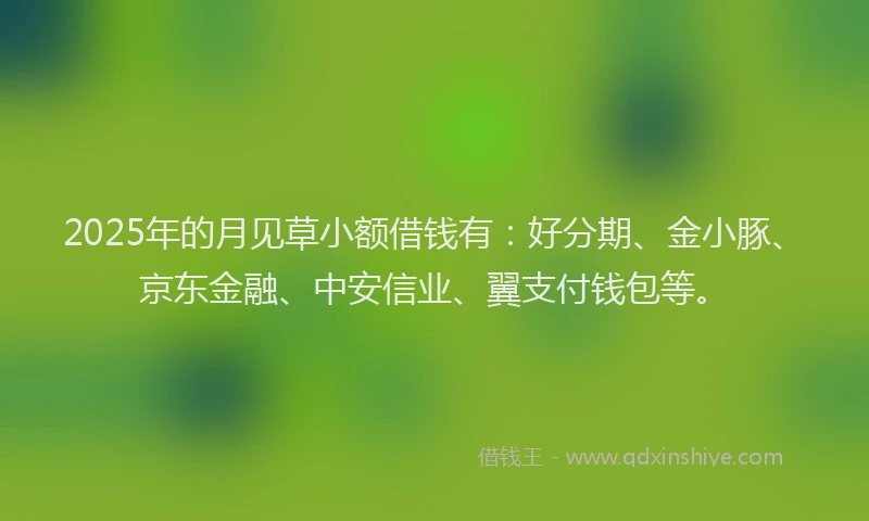2025年的月见草小额借钱有：好分期、金小豚、京东金融、中安信业、翼支付钱包等。