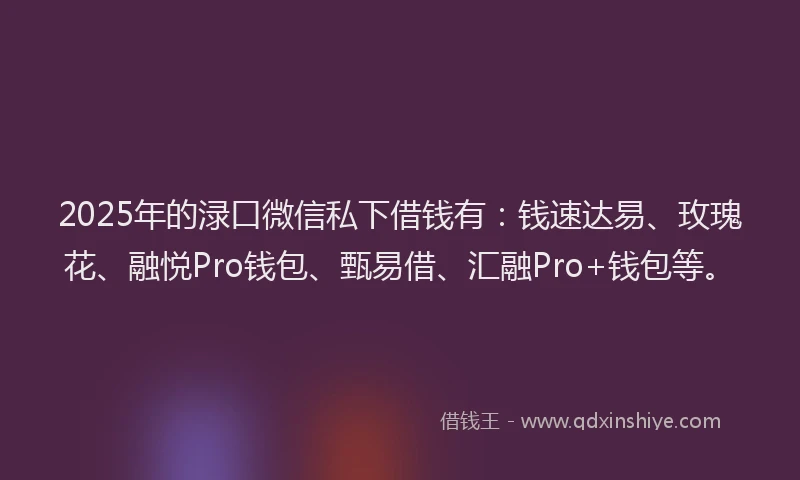 2025年的渌口微信私下借钱有：钱速达易、玫瑰花、融悦Pro钱包、甄易借、汇融Pro+钱包等。