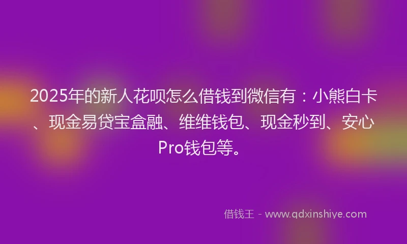 2025年的新人花呗怎么借钱到微信有：小熊白卡、现金易贷宝盒融、维维钱包、现金秒到、安心Pro钱包等。
