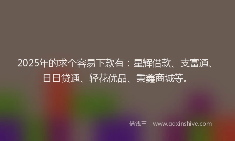 2025年的求个容易下款有：星辉借款、支富通、日日贷通、轻花优品、秉鑫商城等。
