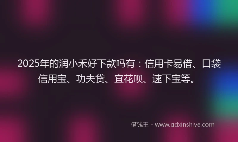 2025年的润小禾好下款吗有：信用卡易借、口袋信用宝、功夫贷、宜花呗、速下宝等。