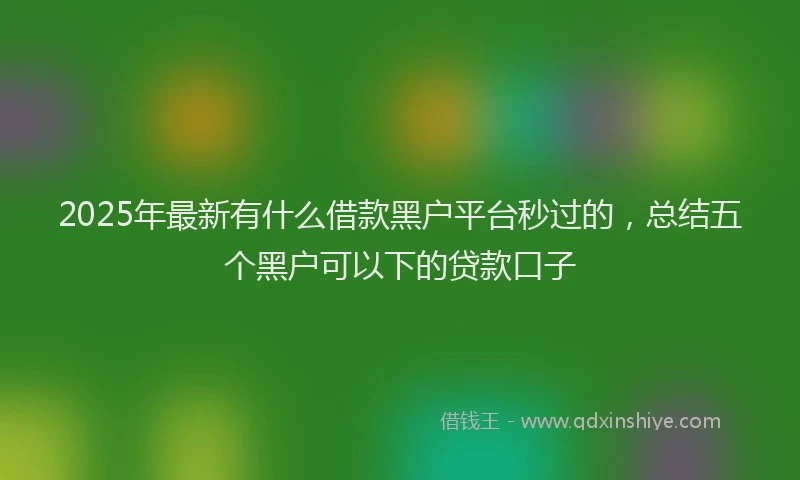 2025年最新有什么借款黑户平台秒过的，总结五个黑户可以下的贷款口子