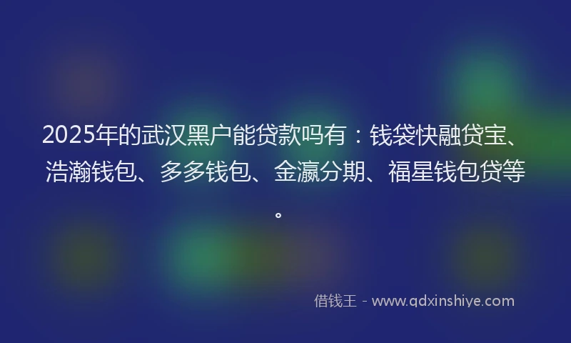 2025年的武汉黑户能贷款吗有：钱袋快融贷宝、浩瀚钱包、多多钱包、金瀛分期、福星钱包贷等。