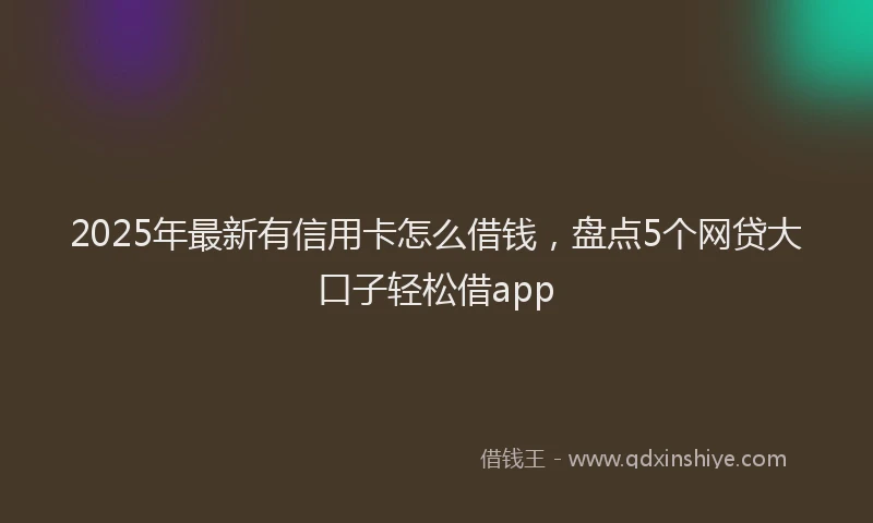 2025年最新有信用卡怎么借钱，盘点5个网贷大口子轻松借app