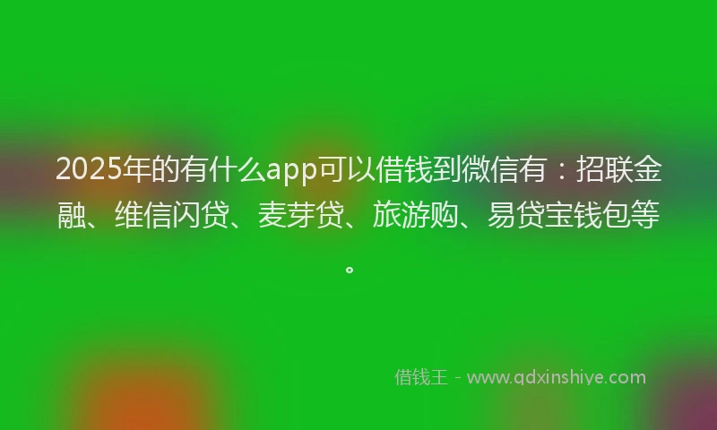 2025年的有什么app可以借钱到微信有：招联金融、维信闪贷、麦芽贷、旅游购、易贷宝钱包等。