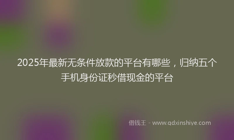 2025年最新无条件放款的平台有哪些，归纳五个手机身份证秒借现金的平台