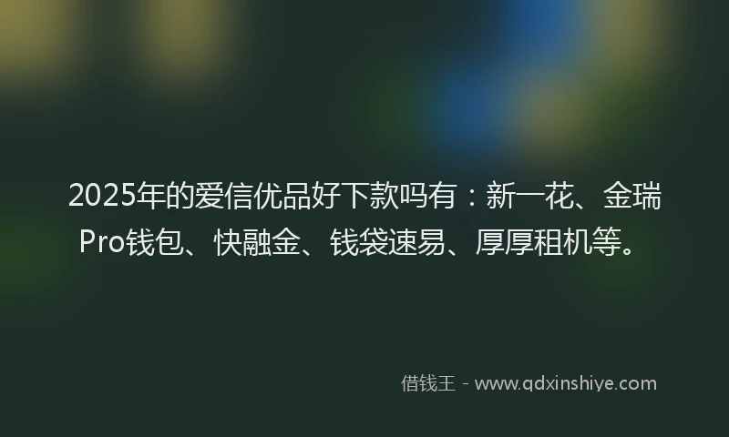 2025年的爱信优品好下款吗有：新一花、金瑞Pro钱包、快融金、钱袋速易、厚厚租机等。