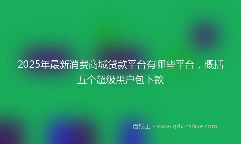 2025年最新消费商城贷款平台有哪些平台，概括五个超级黑户包下款