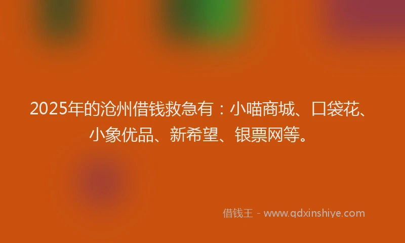 2025年的沧州借钱救急有：小喵商城、口袋花、小象优品、新希望、银票网等。