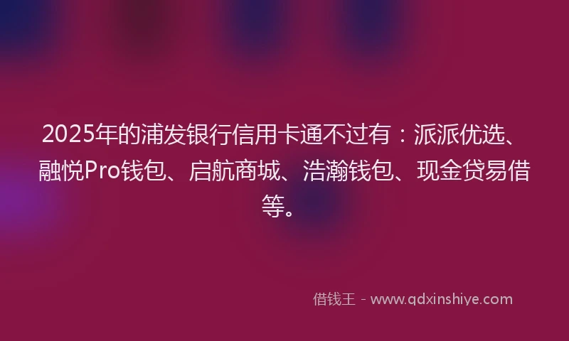2025年的浦发银行信用卡通不过有：派派优选、融悦Pro钱包、启航商城、浩瀚钱包、现金贷易借等。