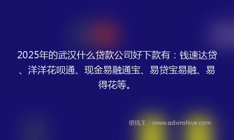 2025年的武汉什么贷款公司好下款有：钱速达贷、洋洋花呗通、现金易融通宝、易贷宝易融、易得花等。