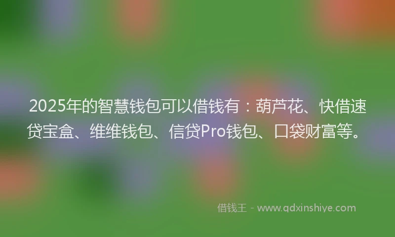 2025年的智慧钱包可以借钱有：葫芦花、快借速贷宝盒、维维钱包、信贷Pro钱包、口袋财富等。