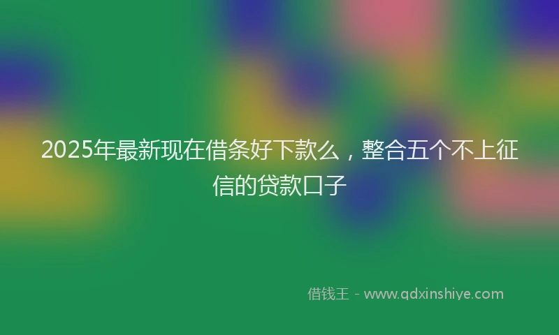 2025年最新现在借条好下款么，整合五个不上征信的贷款口子