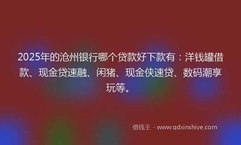 2025年的沧州银行哪个贷款好下款有：洋钱罐借款、现金贷速融、闲猪、现金侠速贷、数码潮享玩等。