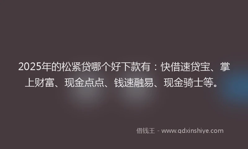 2025年的松紧贷哪个好下款有：快借速贷宝、掌上财富、现金点点、钱速融易、现金骑士等。