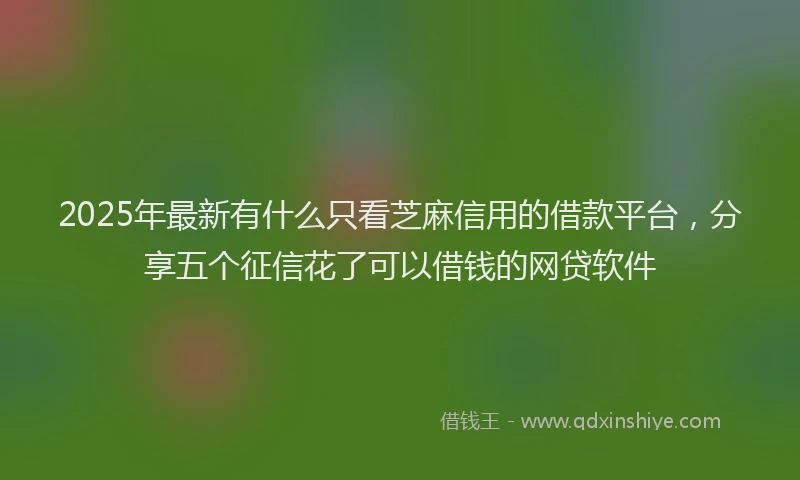 2025年最新有什么只看芝麻信用的借款平台，分享五个征信花了可以借钱的网贷软件