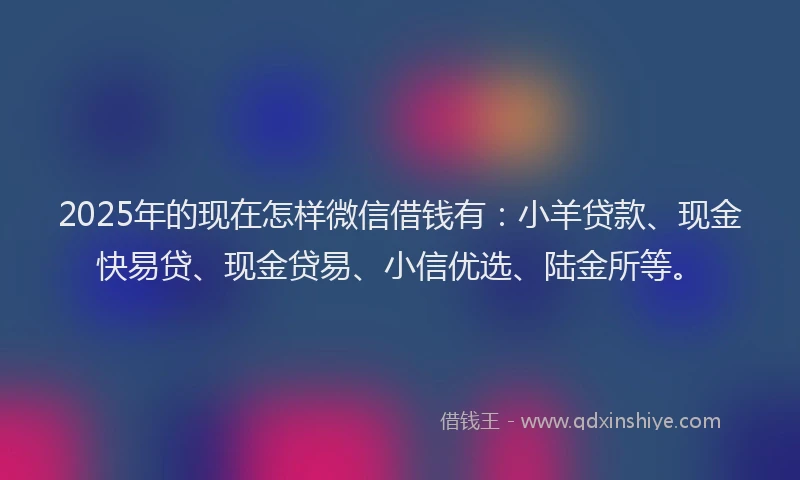 2025年的现在怎样微信借钱有：小羊贷款、现金快易贷、现金贷易、小信优选、陆金所等。