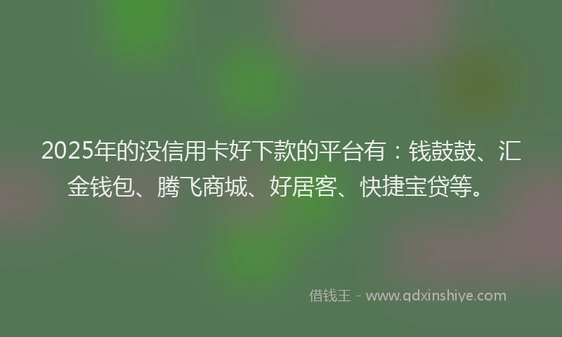 2025年的没信用卡好下款的平台有：钱鼓鼓、汇金钱包、腾飞商城、好居客、快捷宝贷等。