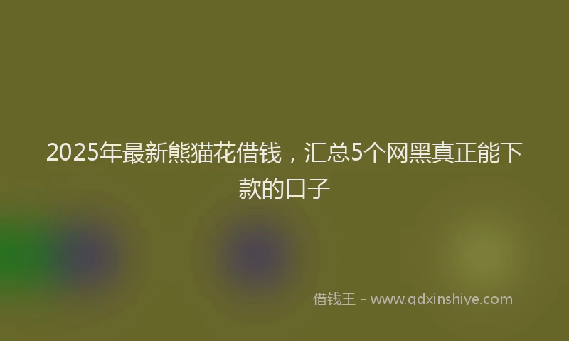 2025年最新熊猫花借钱，汇总5个网黑真正能下款的口子