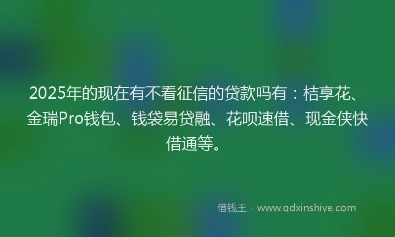 2025年的现在有不看征信的贷款吗有：桔享花、金瑞Pro钱包、钱袋易贷融、花呗速借、现金侠快借通等。