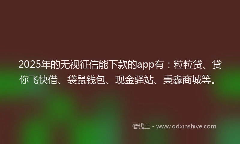 2025年的无视征信能下款的app有：粒粒贷、贷你飞快借、袋鼠钱包、现金驿站、秉鑫商城等。
