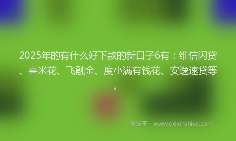 2025年的有什么好下款的新口子6有：维信闪贷、喜米花、飞融金、度小满有钱花、安逸速贷等。
