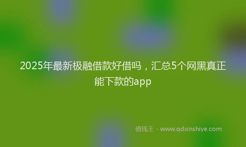 2025年最新极融借款好借吗，汇总5个网黑真正能下款的app