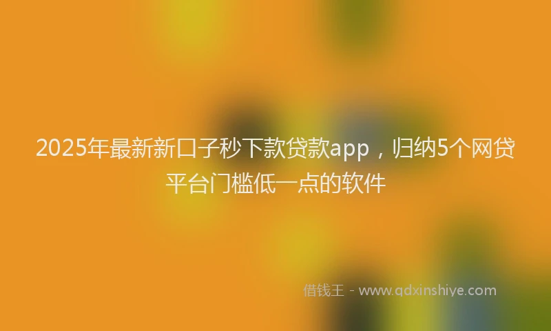 2025年最新新口子秒下款贷款app，归纳5个网贷平台门槛低一点的软件