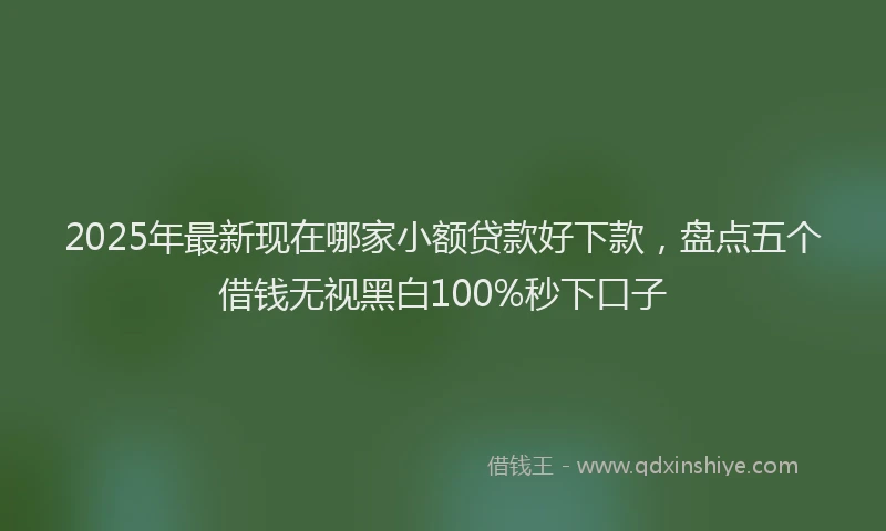 2025年最新现在哪家小额贷款好下款，盘点五个借钱无视黑白100%秒下口子