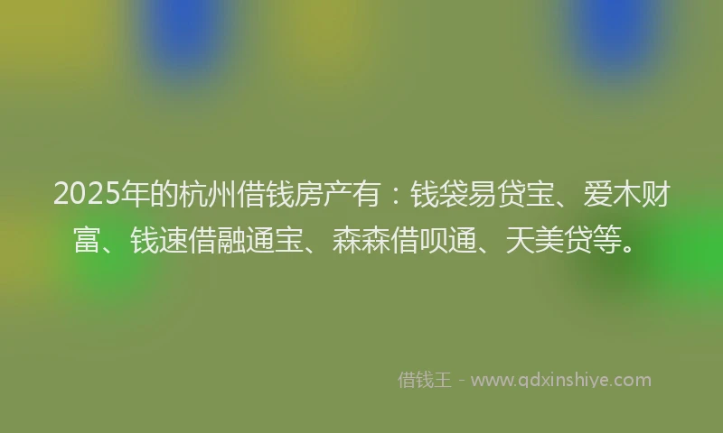 2025年的杭州借钱房产有：钱袋易贷宝、爱木财富、钱速借融通宝、森森借呗通、天美贷等。