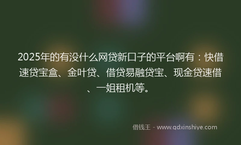 2025年的有没什么网贷新口子的平台啊有：快借速贷宝盒、金叶贷、借贷易融贷宝、现金贷速借、一姐租机等。