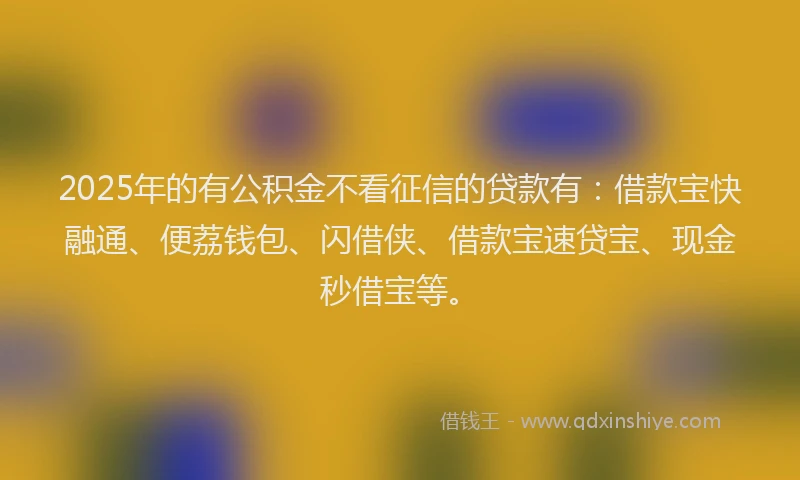 2025年的有公积金不看征信的贷款有：借款宝快融通、便荔钱包、闪借侠、借款宝速贷宝、现金秒借宝等。